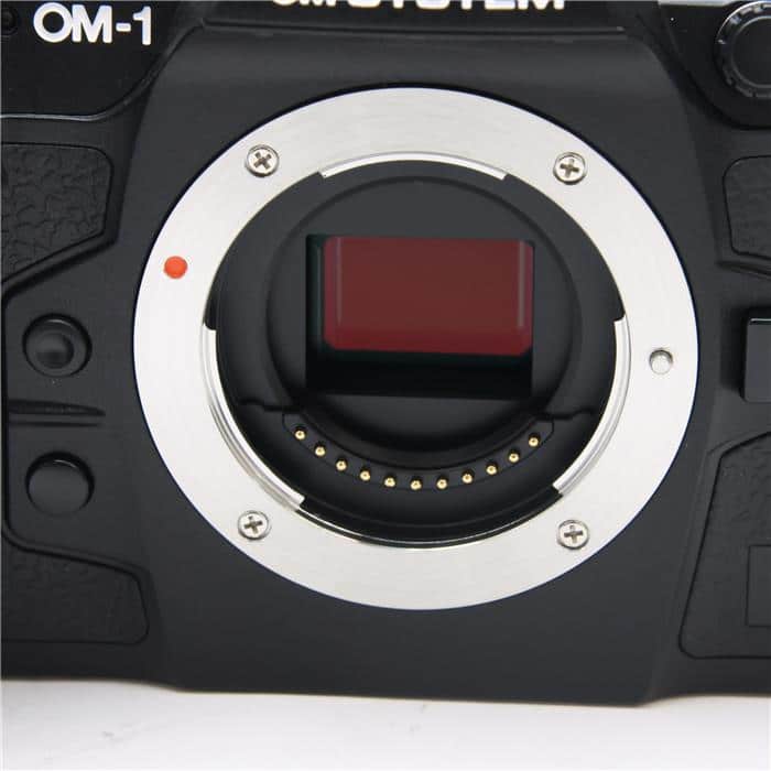 OM-1 Mark II ボディ