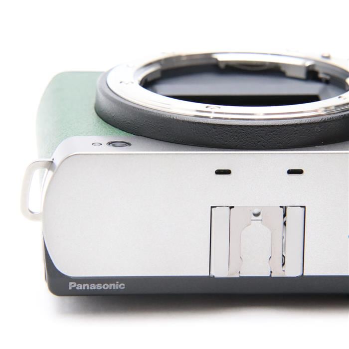 中古)Panasonic (パナソニック) LUMIX S9 ボディ DC-S9-S エクステリア