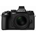OLYMPUS (オリンパス) OM-D E-M1 12-50mm EZ レンズキット