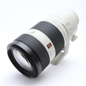 SONY (ソニー) FE 100-400mm F4.5-5.6 GM OSS SEL100400GM メイン