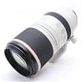 Canon (キヤノン) RF100-500mm F4.5-7.1 L IS USM