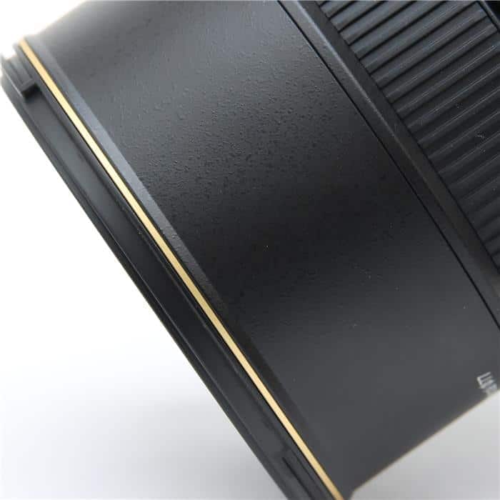 AF-S DX Zoom-Nikkor 17-55mm F2.8G IF-ED