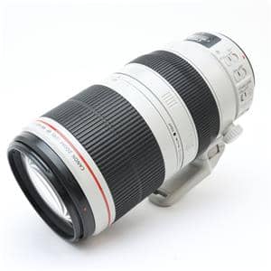 Canon (キヤノン) EF100-400mm F4.5-5.6L IS II USM メイン