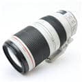 EF100-400mm F4.5-5.6L IS II USM