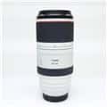 RF100-500mm F4.5-7.1 L IS USM ミラーレス用AFレンズ