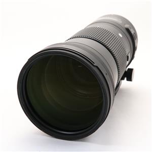 Sigma シグマ S 150 600mm F5 6 3 Dg Os ニコン用 の商品検索結果 デジタルカメラ ミラーレスカメラ 交換レンズの総合サイト マップカメラ