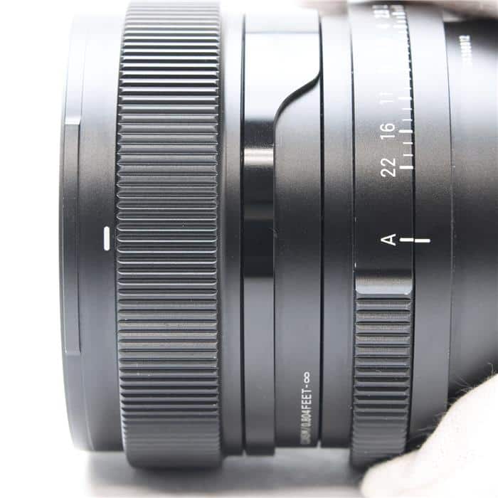 Contemporary 24mm F2 DG DN (ソニーE用/フルサイズ対応)