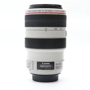 Canon (キヤノン) EF70-300mm F4-5.6L IS USM メイン
