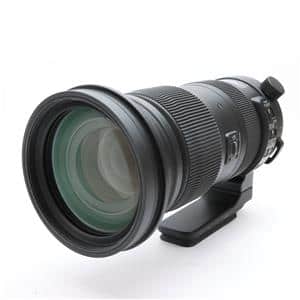 SIGMA (シグマ) Sports 60-600mm F4.5-6.3 DG OS HSM（ニコン用