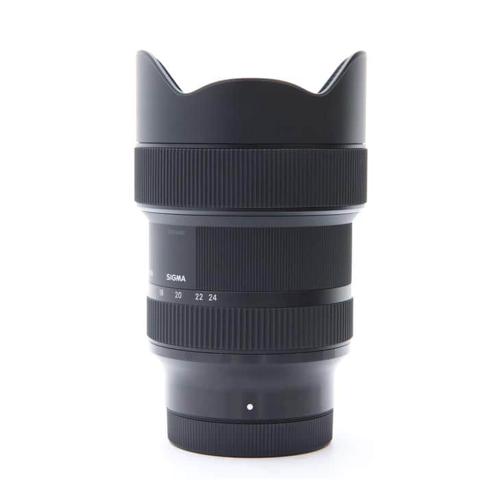 Art 14-24mm F2.8 DG DN (ライカSL/TL用)