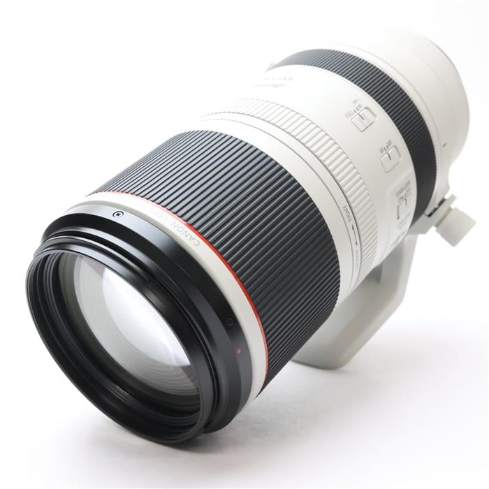 RF100-500mm F4.5-7.1 L IS USM