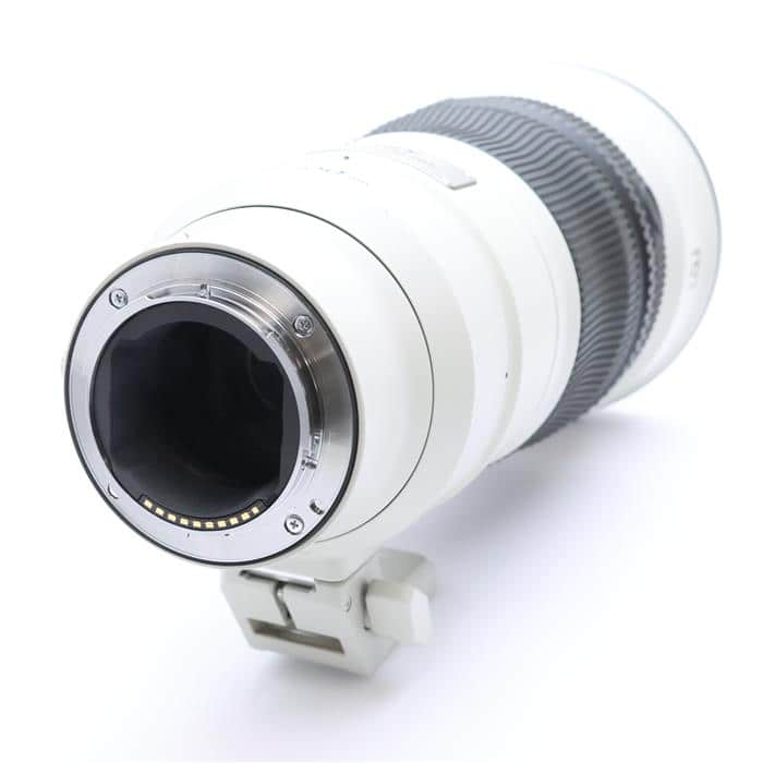 FE 300mm F2.8 GM OSS SEL300F28GM