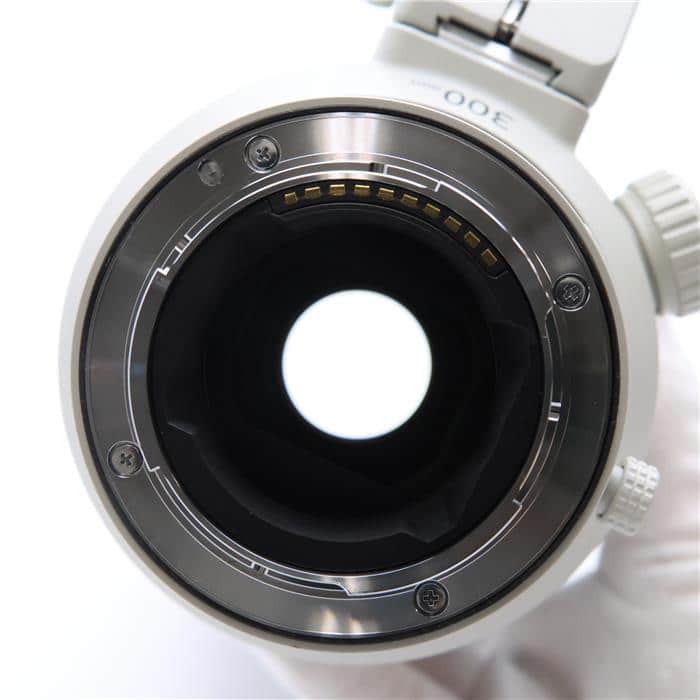 FE 300mm F2.8 GM OSS SEL300F28GM