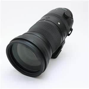 SIGMA 150-600 DG DN SONY」の商品検索結果 | デジタルカメラ