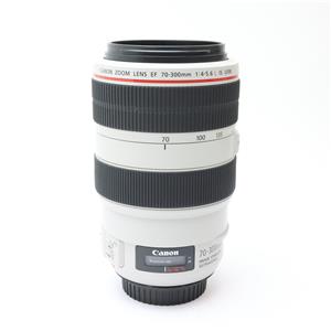 Canon (キヤノン) EF70-300mm F4-5.6L IS USM」の商品検索結果