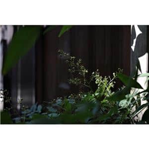 RICOH (リコー) GR IIIx