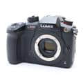 LUMIX DC-GH5S ボディ