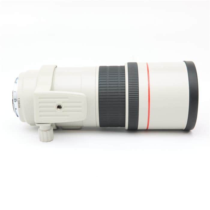 C anon EF300㎜　F4L USM 手ブレ補正機構なし C anon EF300㎜F4L USM 手ブレ補正機構なし