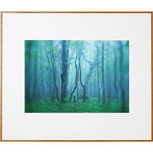 Kenko (ケンコー) アルミ額縁 ギャラリー A3 アクリル入り AGY-A3-NA ナチュラル メイン