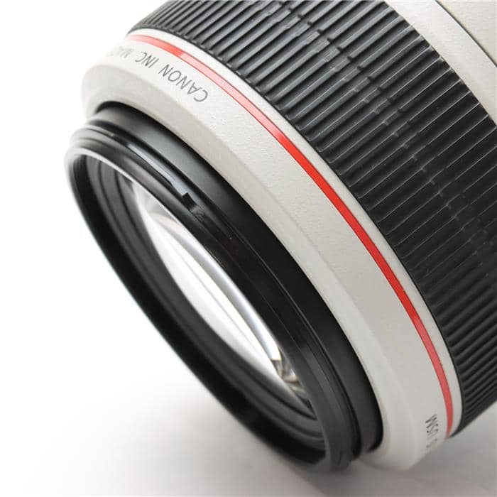 EF70-300mm F4-5.6L IS USM