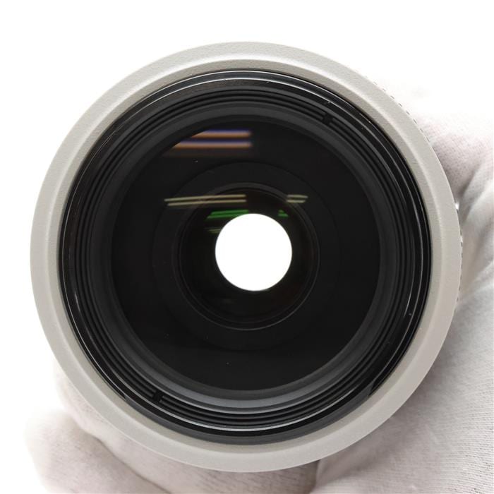 EF70-300mm F4-5.6L IS USM