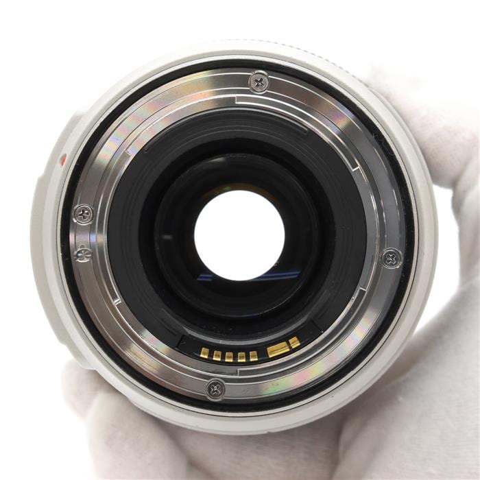 EF70-300mm F4-5.6L IS USM