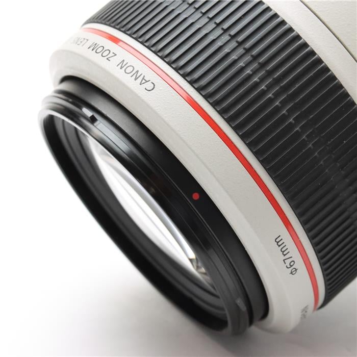 EF70-300mm F4-5.6L IS USM