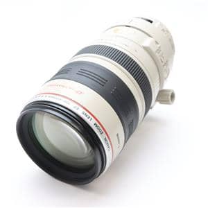 Canon (キヤノン) EF100-400mm F4.5-5.6L IS USM メイン