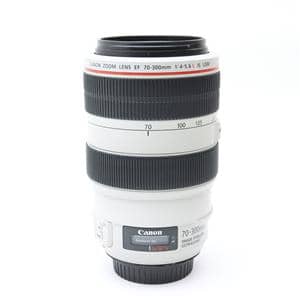 Canon EF 500mm F4/L IS Ⅱ – LIGHT UP RENTAL | 破格☆Canon EF 300mm