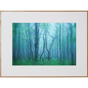 Kenko (ケンコー) アルミ額縁 ギャラリー A3ノビ アクリル入り AGY-A3N-NA ナチュラル メイン