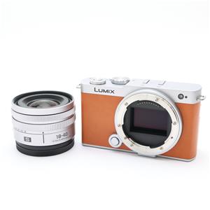 Panasonic (パナソニック) LUMIX S9 広角ズームレンズキット DC-S9N-D