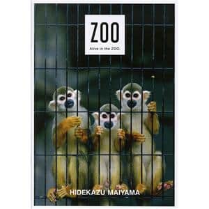 書籍 舞山秀一図録 『ZOO』 メイン