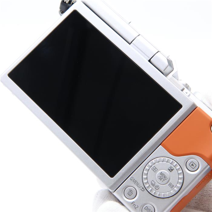 LUMIX GF9 ダブルレンズキット DC-GF9W