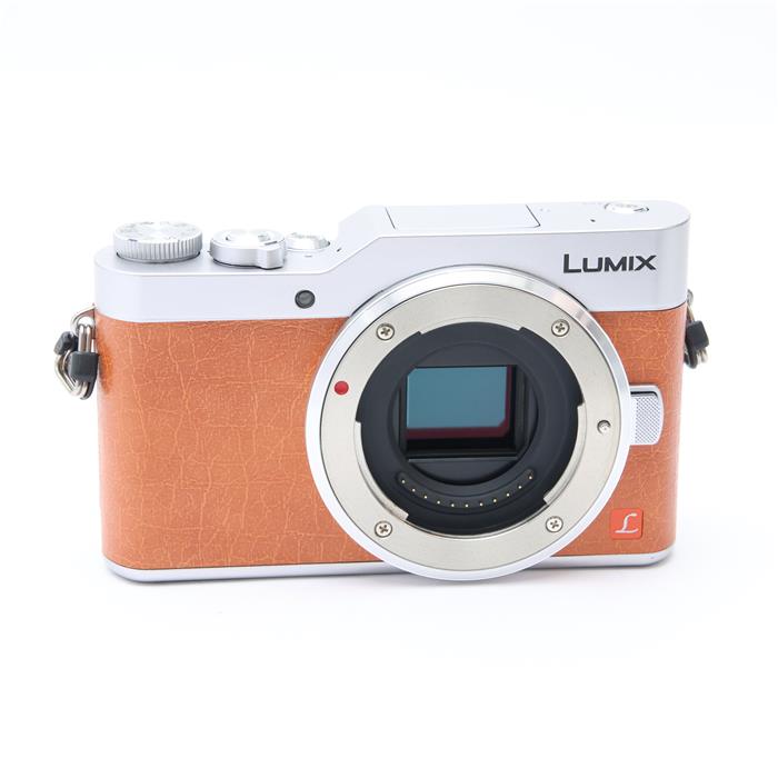 LUMIX GF9 ダブルレンズキット DC-GF9W