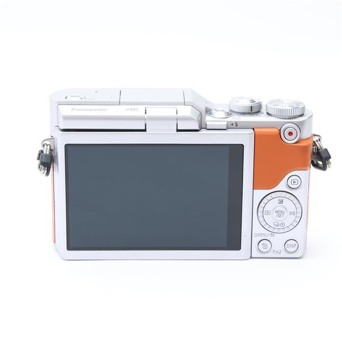 LUMIX GF9 ダブルレンズキット DC-GF9W
