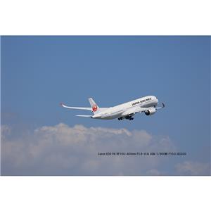 Canon (キヤノン) RF100-400mm F5.6-8 IS USM