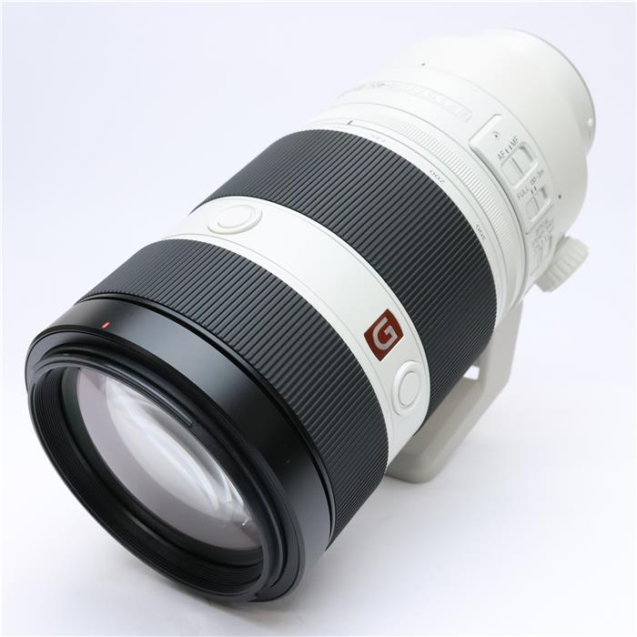 FE 100-400mm F4.5-5.6 GM OSS SEL100400GM
