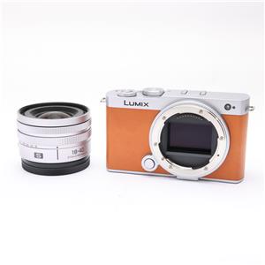 Panasonic (パナソニック) LUMIX S9 広角ズームレンズキット DC-S9N-D