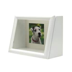 Kenko (ケンコー) ディスプレイBOX 2L PS-MB-2L-WH ホワイト メイン