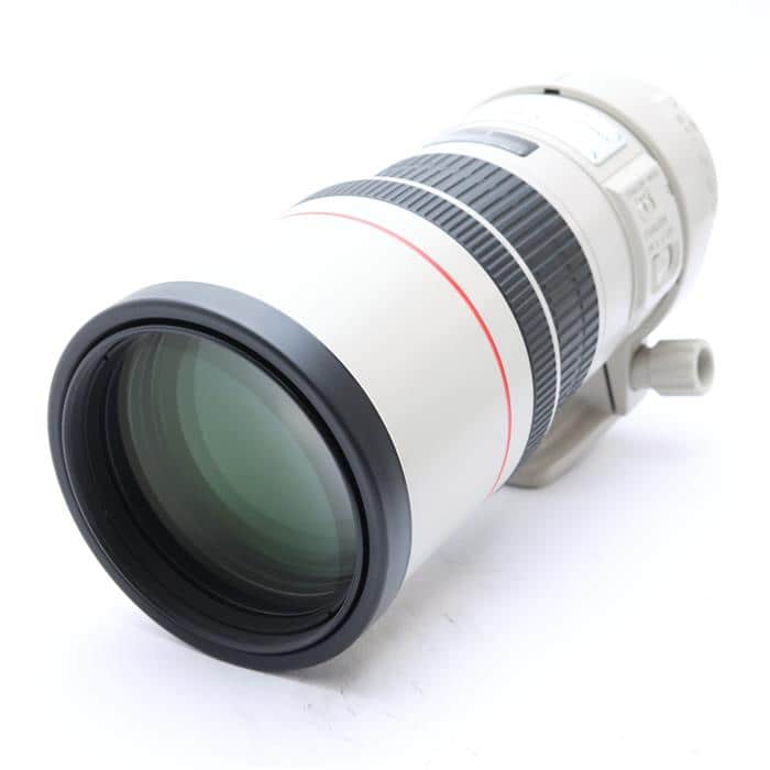 EF300mm F4L IS USM