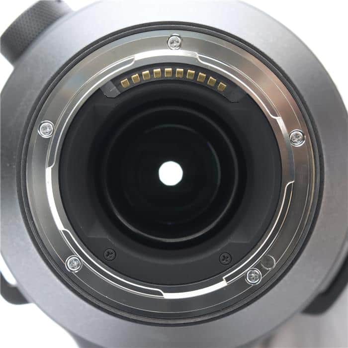 Sports 150-600mm F5-6.3 DG DN OS (ライカSL/TL用)