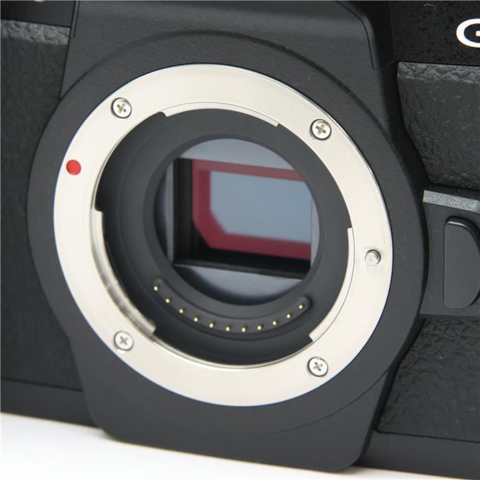 LUMIX DC-G99M2H 高倍率ズームレンズキット