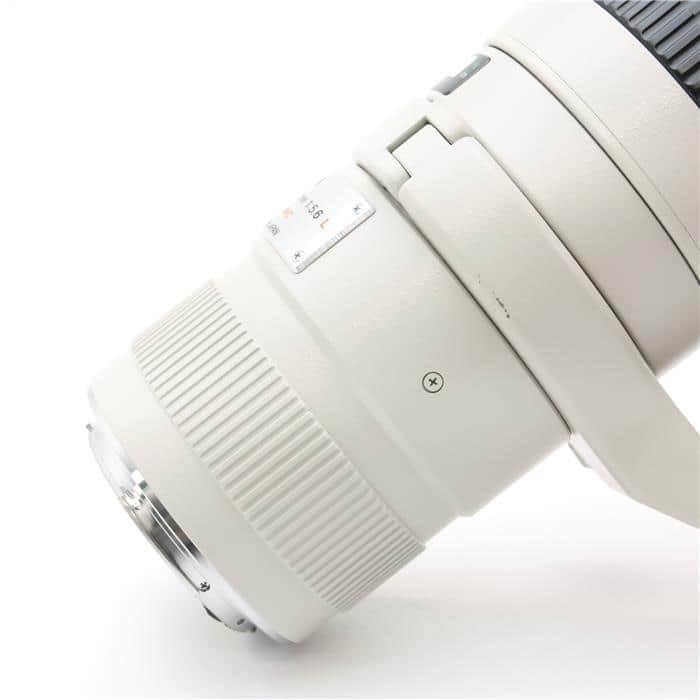 SIGMA 300mm f4 APO TELE MACRO + 1.4xテレコン テレコンバーター