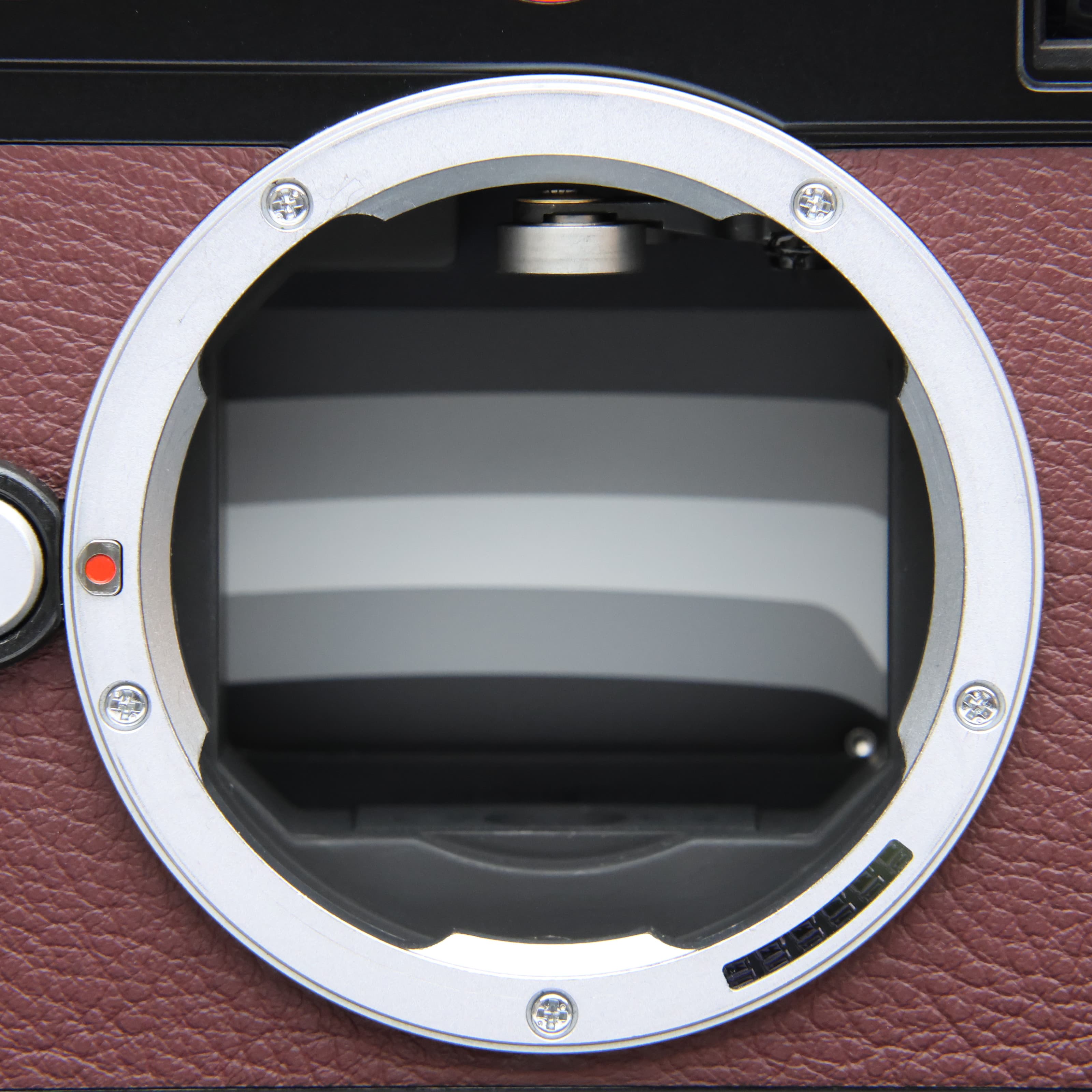 中古)Leica (ライカ) M (Typ240) ボディ 100 years アラカルト（商品ID