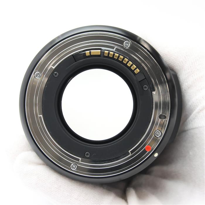 Art 24mm F1.4 DG HSM (キヤノンEF用)