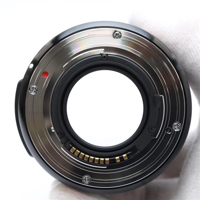 Art 30mm F1.4 DC HSM (シグマSA用)