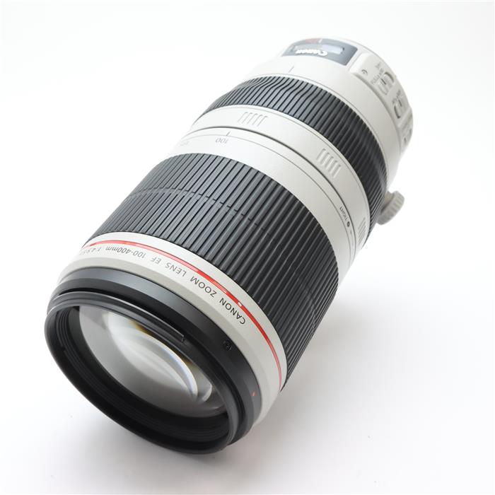 EF100-400mm F4.5-5.6L IS II USM