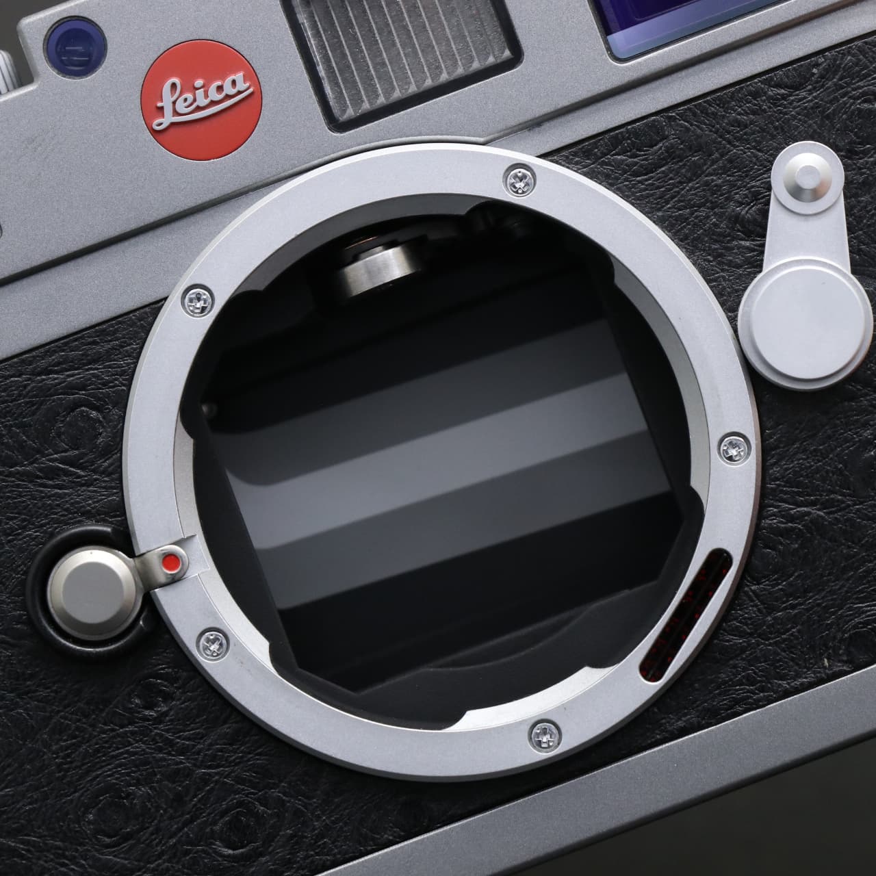 中古)Leica (ライカ) M9 スチールグレー オーストリッチ ブラック