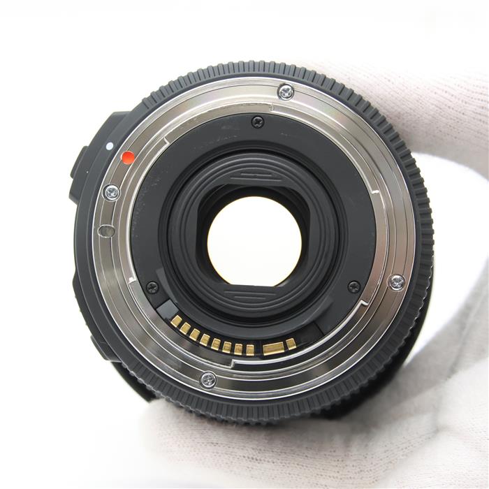 10-20mm F3.5 EX DC HSM (キヤノンEF用)
