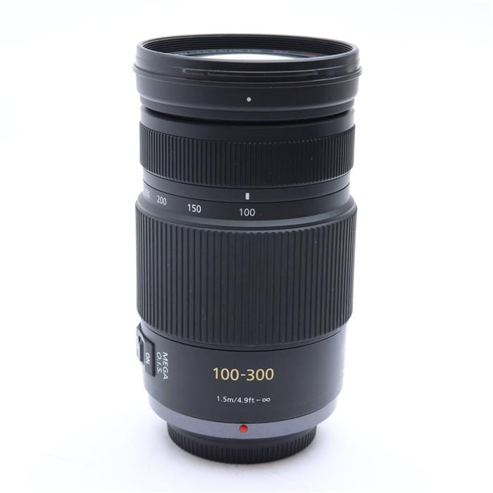 LUMIX G VARIO 100-300mm F4.0-5.6 MEGA O.I.S.
